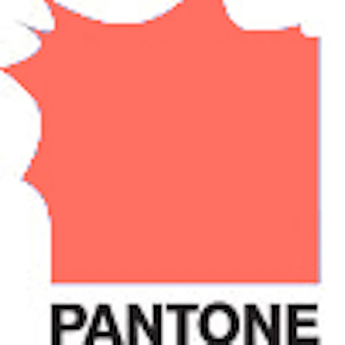 2019 Pantone Color of the Year