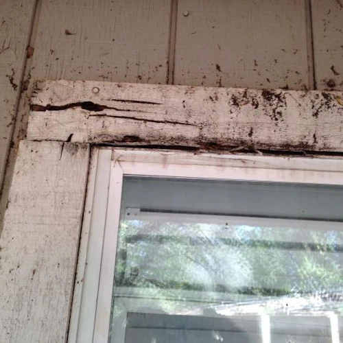  Preventing, Identifying, and Repairing Dry Rot